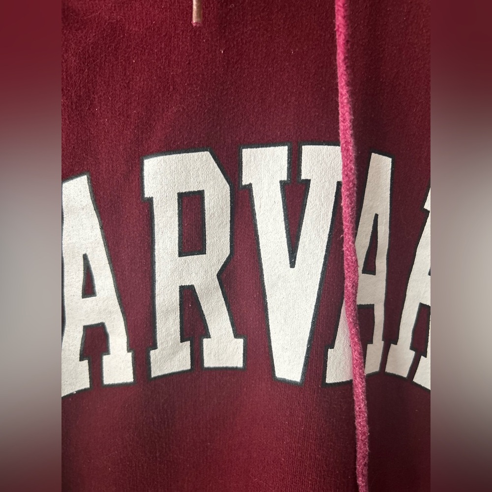 Thick and oversized Harvard printed hoodie - Picture 3 of 12